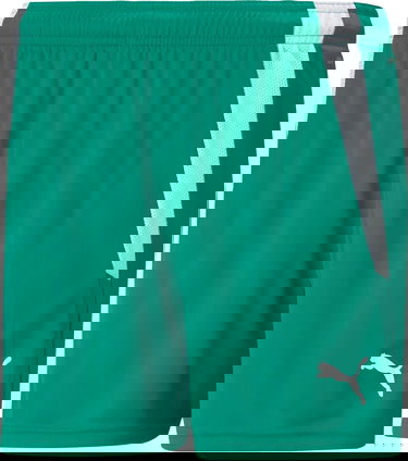 Къси панталони Puma teamLIGA Shorts Зелено | 70493605, 0