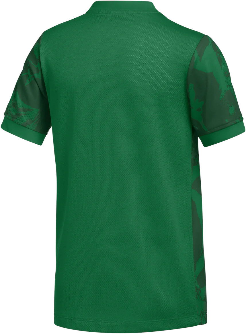 Фланелка Nike Nike Precision VII Soccer Jersey Зелено | fz9336-302, 1