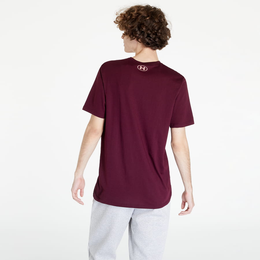 Тениска Under Armour Project Rock Globe Tee Бургунди | 1373746-600, 1