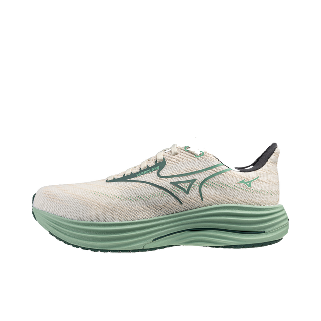 Mizuno Wave Rider 29