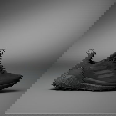 Кецове и обувки adidas Performance Terrex Free Hiker 2.0 Low GTX Черно | IE7652, 0
