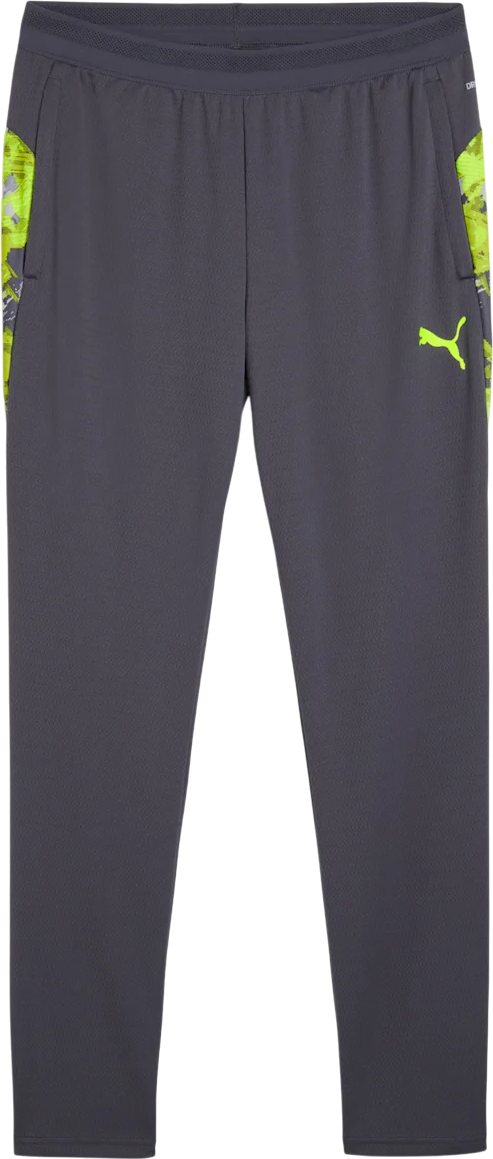 Спортни панталони Puma individualCUP Training Pants Сиво | 659899-08