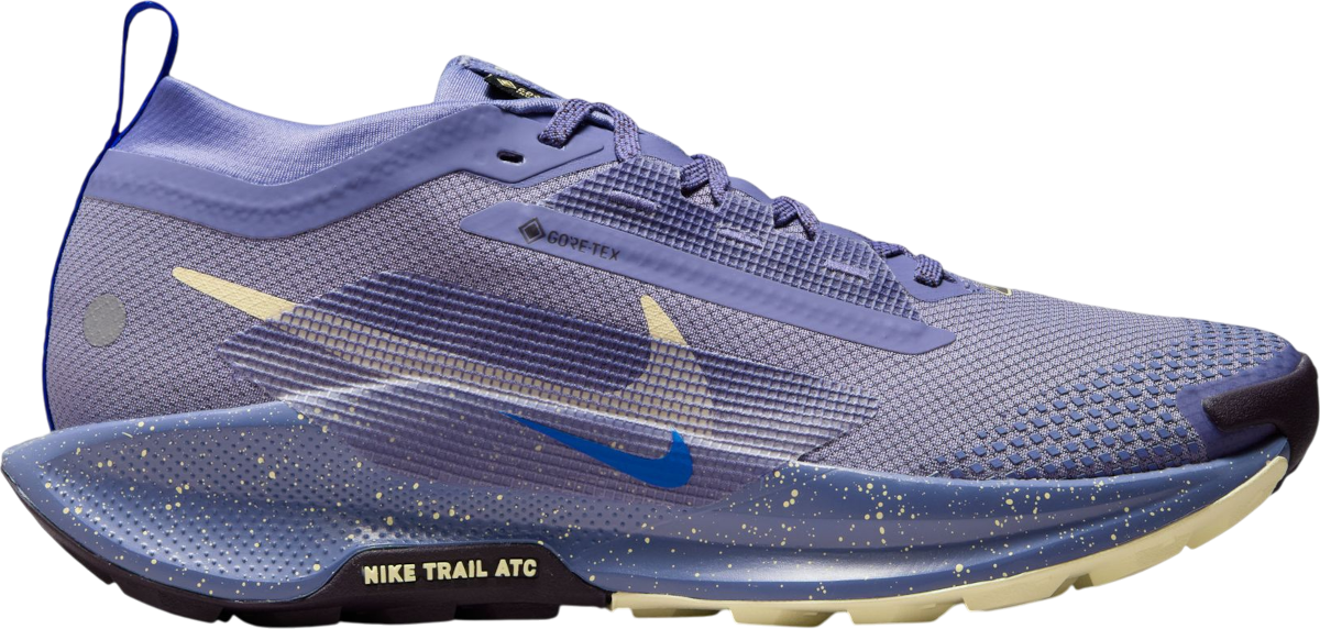 Кецове и обувки Nike Pegasus Trail 5 GORE-TEX Лилаво | fq0912-402, 0