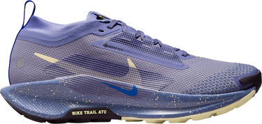 Кецове и обувки Nike Pegasus Trail 5 GORE-TEX Лилаво | fq0912-402, 0