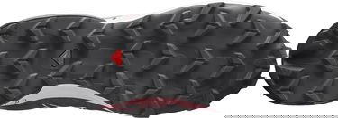 Кецове и обувки Salomon Speedcross 5 GTX Червено | l41612500, 3