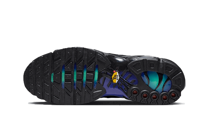 Кецове и обувки Nike Air Max Plus Black Blue Red Черно | DZ4509-001, 1