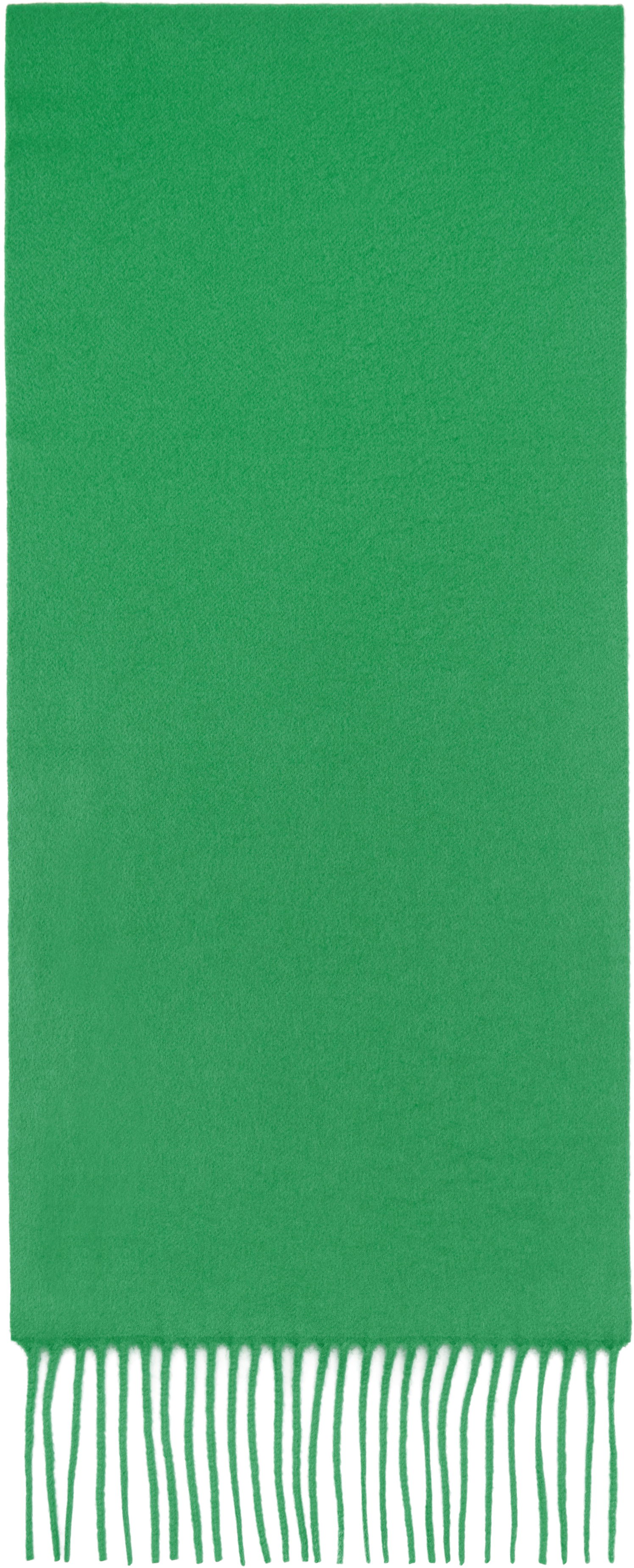 Шал The Row Viktor Scarf Зелено | 6865-P84, 0