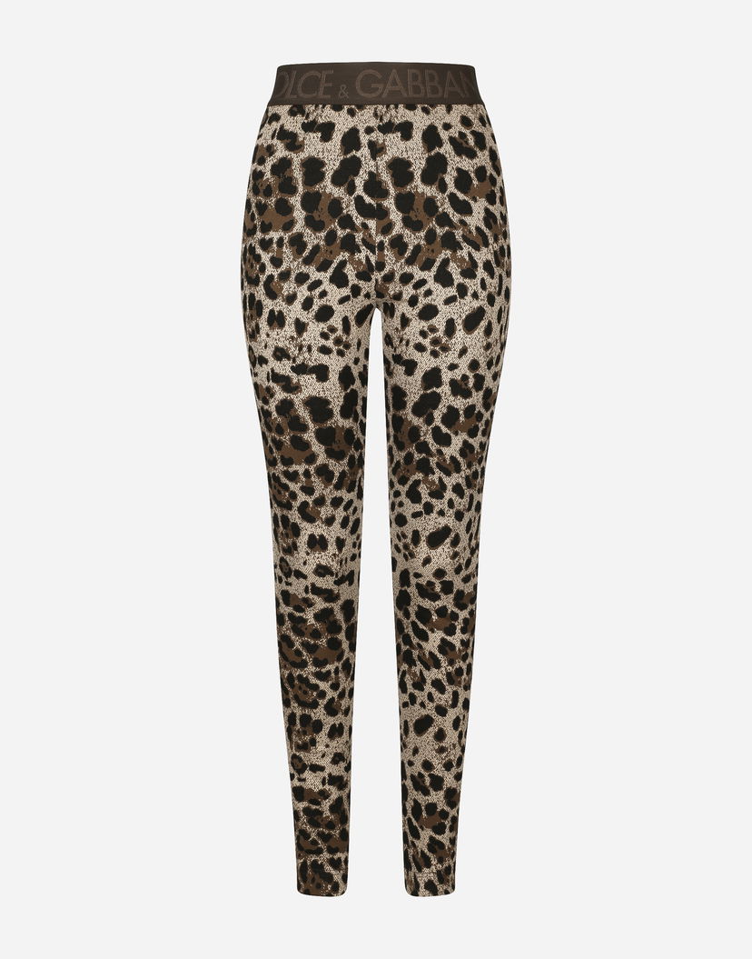 Клинове Dolce & Gabbana Jersey Leggings With Leopard Design Кафяво | FTCQKTFJGASS8350