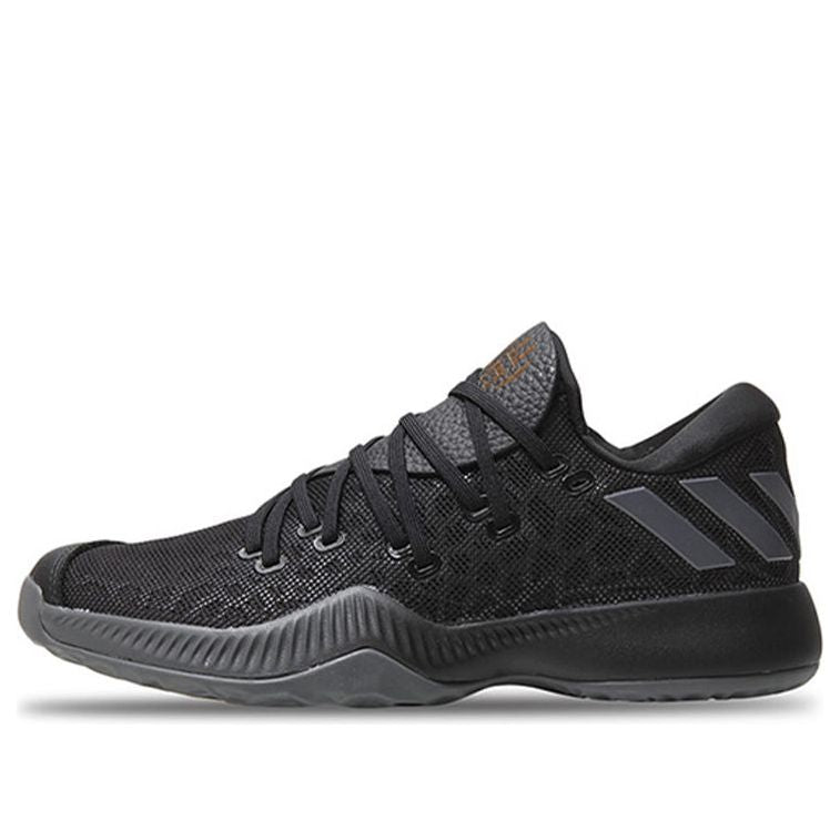 Кецове и обувки adidas Originals Harden B/E Черно | CG4192