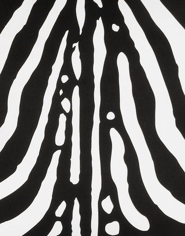 Домашен декор Dolce & Gabbana Dolce & Gabbana Zebra Print Canvas Cushion Многоцветен | TCE001TCAF1UZ003, 3