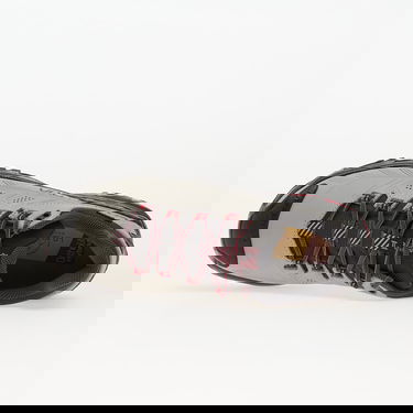 Кецове и обувки La Sportiva Ultra Raptor II Leather GTX Сиво | ZFHS131 Cloud/ Redwood, 3