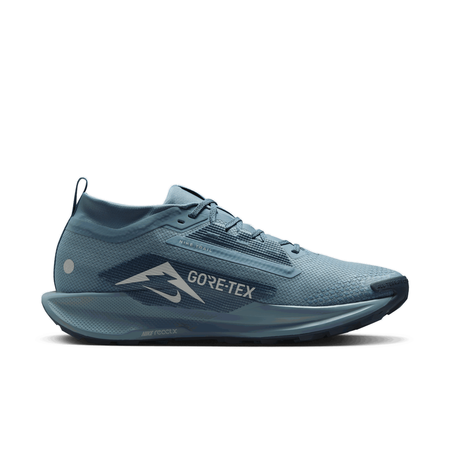 Кецове и обувки Nike Pegasus Trail 5 GORE-TEX Синьо | FQ0908-005, 1