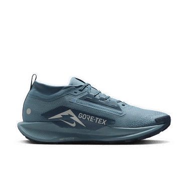 Кецове и обувки Nike Pegasus Trail 5 GORE-TEX Синьо | FQ0908-005, 1