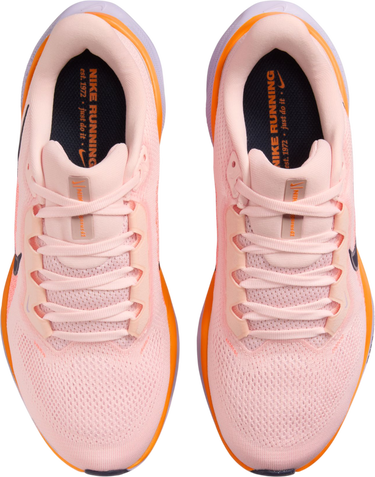 Кецове и обувки Nike Pegasus 41 Розово | fd2723-603, 2