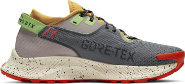 Кецове и обувки Nike Pegasus Trail 2 GTX W Кафяво | cu2018-002, 2