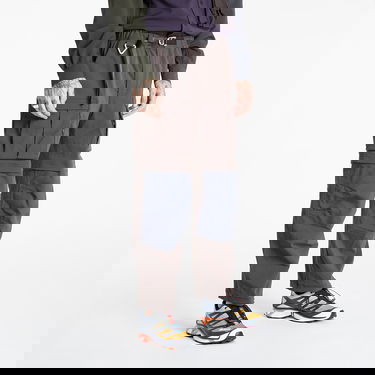 Панталони и дънки Nike ACG Cargo Pants Кафяво | CV0655-220, 0