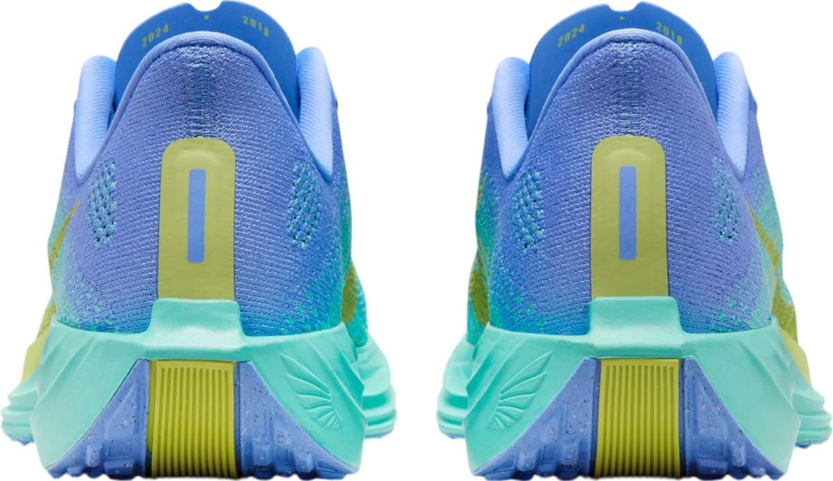 Кецове и обувки Nike Pegasus Plus Многоцветен | fq7261-401, 1