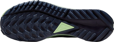 Кецове и обувки Nike Pegasus Trail 4 GORE-TEX Зелено | dj7926-303, 1