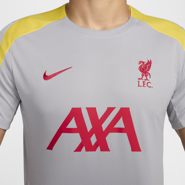 Тениска Nike Dri-FIT Liverpool FC St Сиво | FQ2611-078, 2