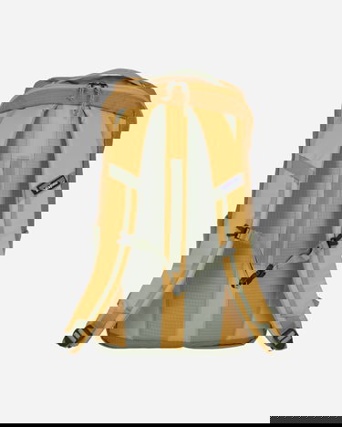 Раница Patagonia Black Hole Pack 25L Бежово | 49298 PFGD, 3