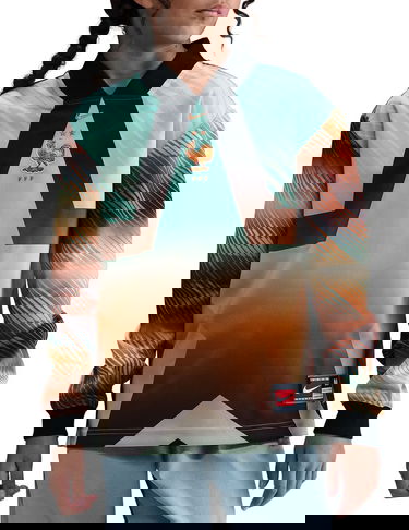 Фланелка Nike France Goalkeeper Long-Sleeve Jersey 2026 Многоцветен | io2679-010, 0