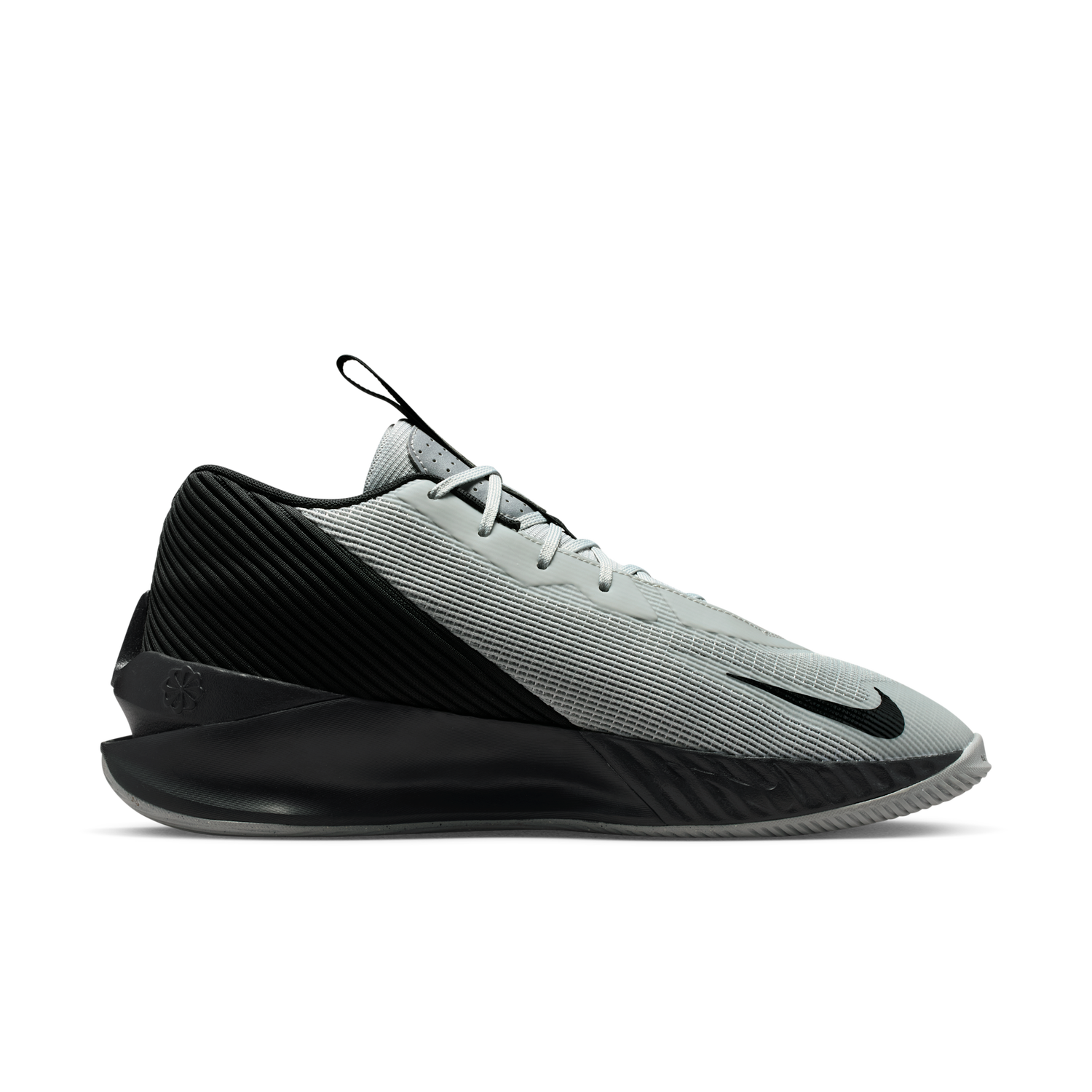 Кецове и обувки Nike G.T. Jump Academy Сиво | FV5524-006, 1