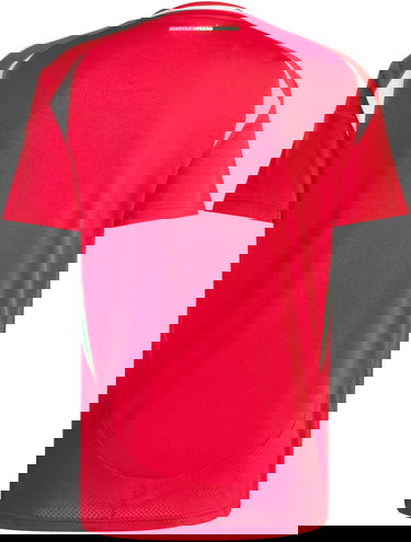 Фланелка adidas Originals HFF H JSY 2024 Червено | je3520, 2