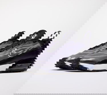 Кецове и обувки Nike W Air Max 2090 Черно | CK2612-002, 4