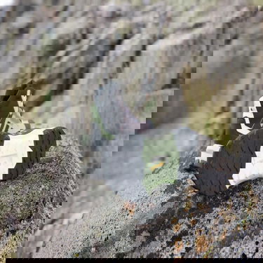 Кецове и обувки adidas Performance adidas TERREX Boty Terrex AX4 Mid GORE-TEX Hiking Черно | IE2577, 3