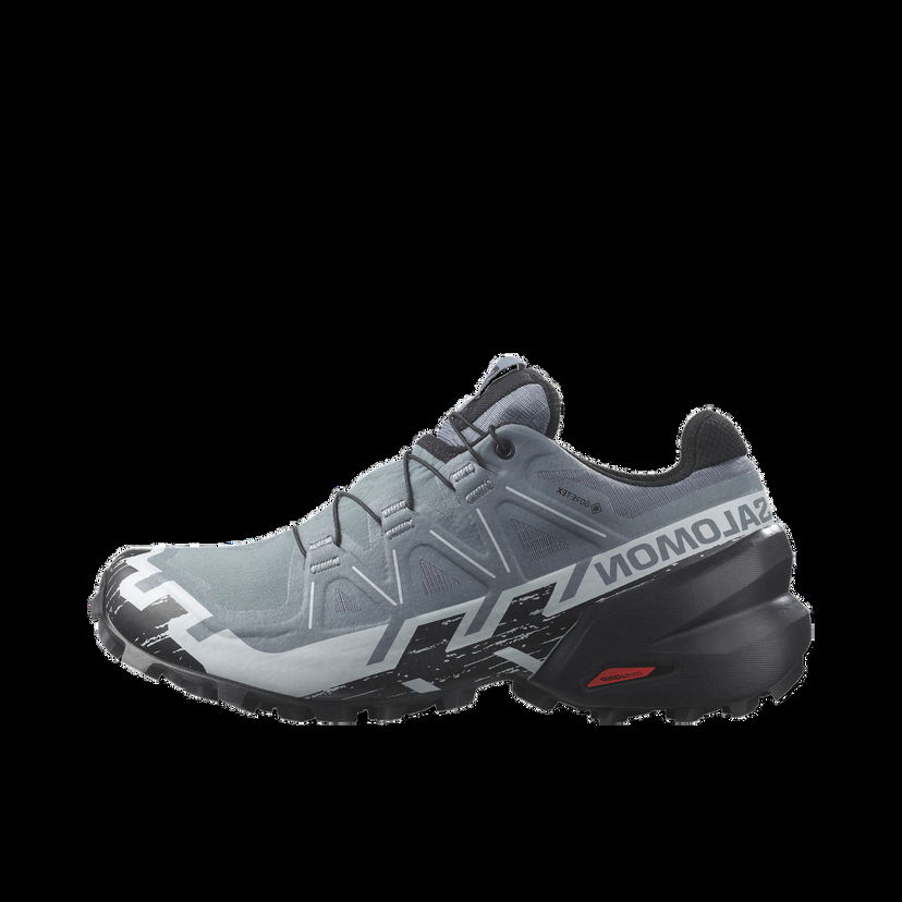 Кецове и обувки Salomon SPEEDCROSS 6 GTX W Сиво | l47302300