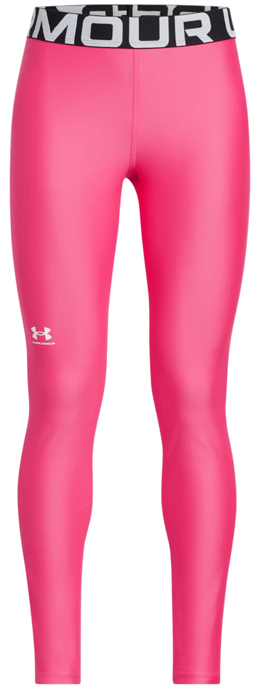 Under Armour HG Leggings