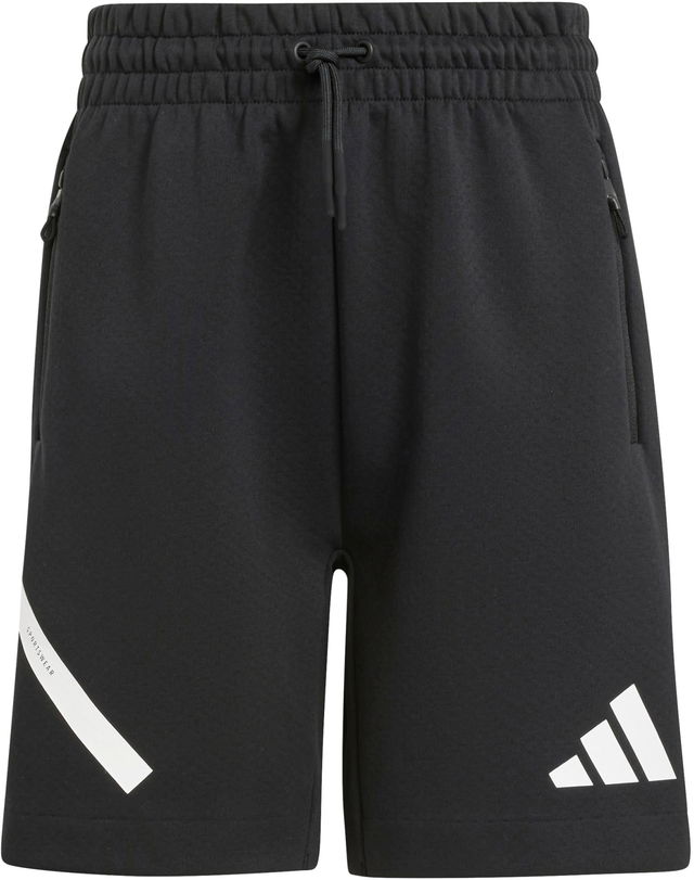 J ZNE Shorts