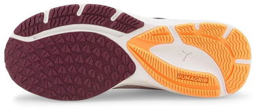 Кецове и обувки Puma Velocity Nitro 2 W Лилаво | 376262-03, 1