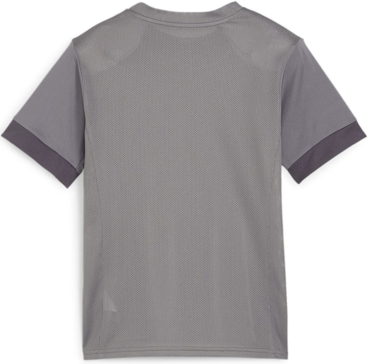 Фланелка Puma teamGOAL Matchday Jersey jr Сиво | 705748-13, 1