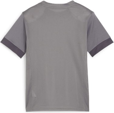 Фланелка Puma teamGOAL Matchday Jersey jr Сиво | 705748-13, 1