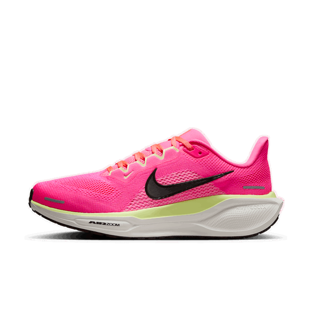 Pegasus 41