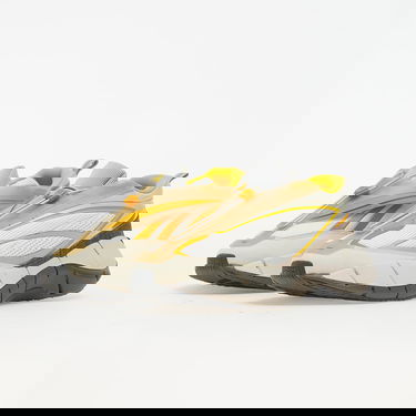 Кецове и обувки Reebok Zig 3D Storm Бежово | G55691, 4