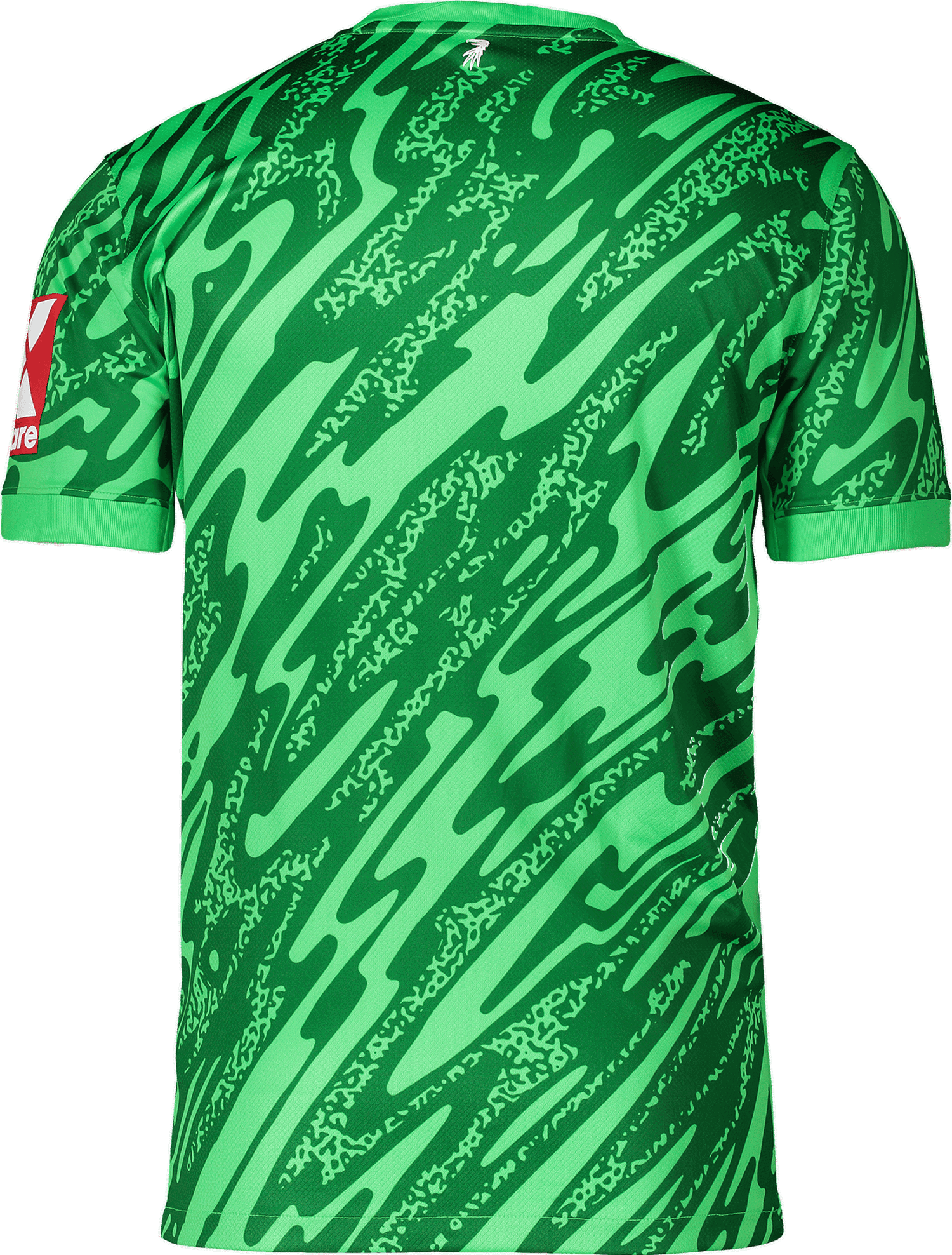 Фланелка Nike Nike SC Freiburg Goalkeeper Jersey 2025/26 Зелено | 6scffd7482-329, 1