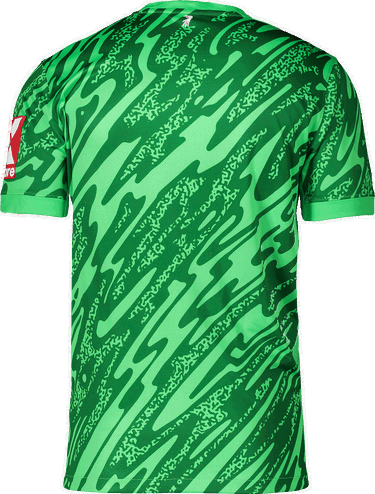 Фланелка Nike Nike SC Freiburg Goalkeeper Jersey 2025/26 Зелено | 6scffd7482-329, 1