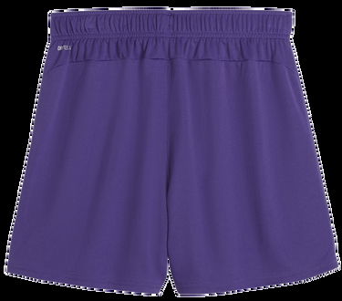 Къси панталони Puma teamGOAL Shorts Wmns Лилаво | 705754-10, 1