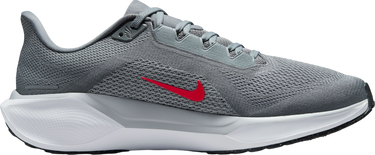Кецове и обувки Nike Pegasus 41 Сиво | fd2722-013, 3