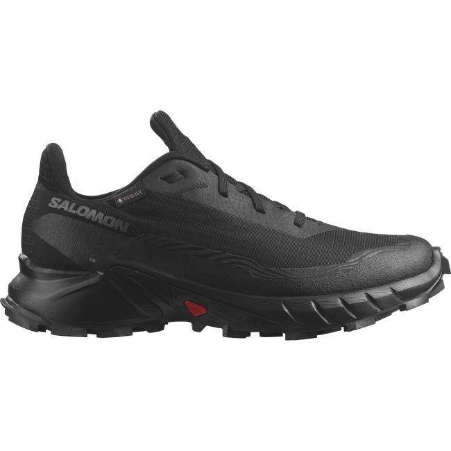 Кецове и обувки Salomon Alphacross 5 Gore-Tex Черно | L47310900