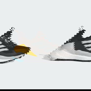 Кецове и обувки adidas Performance Terrex Free Hiker 2.0 Low GORE-TEX Hiking Черно | IG5460, 1