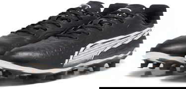 Кецове и обувки Puma Puma KING MATCH FG/AG Черно | 107570-01, 3