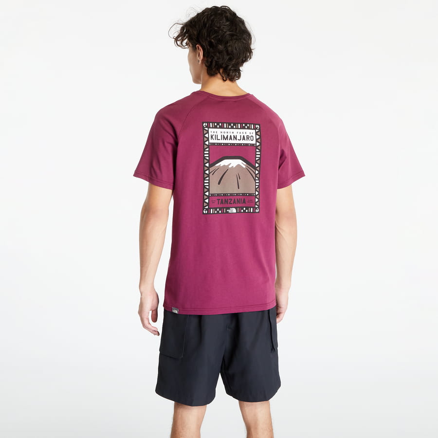 Тениска The North Face North Face Розово | NF00CEQ8I0H, 0