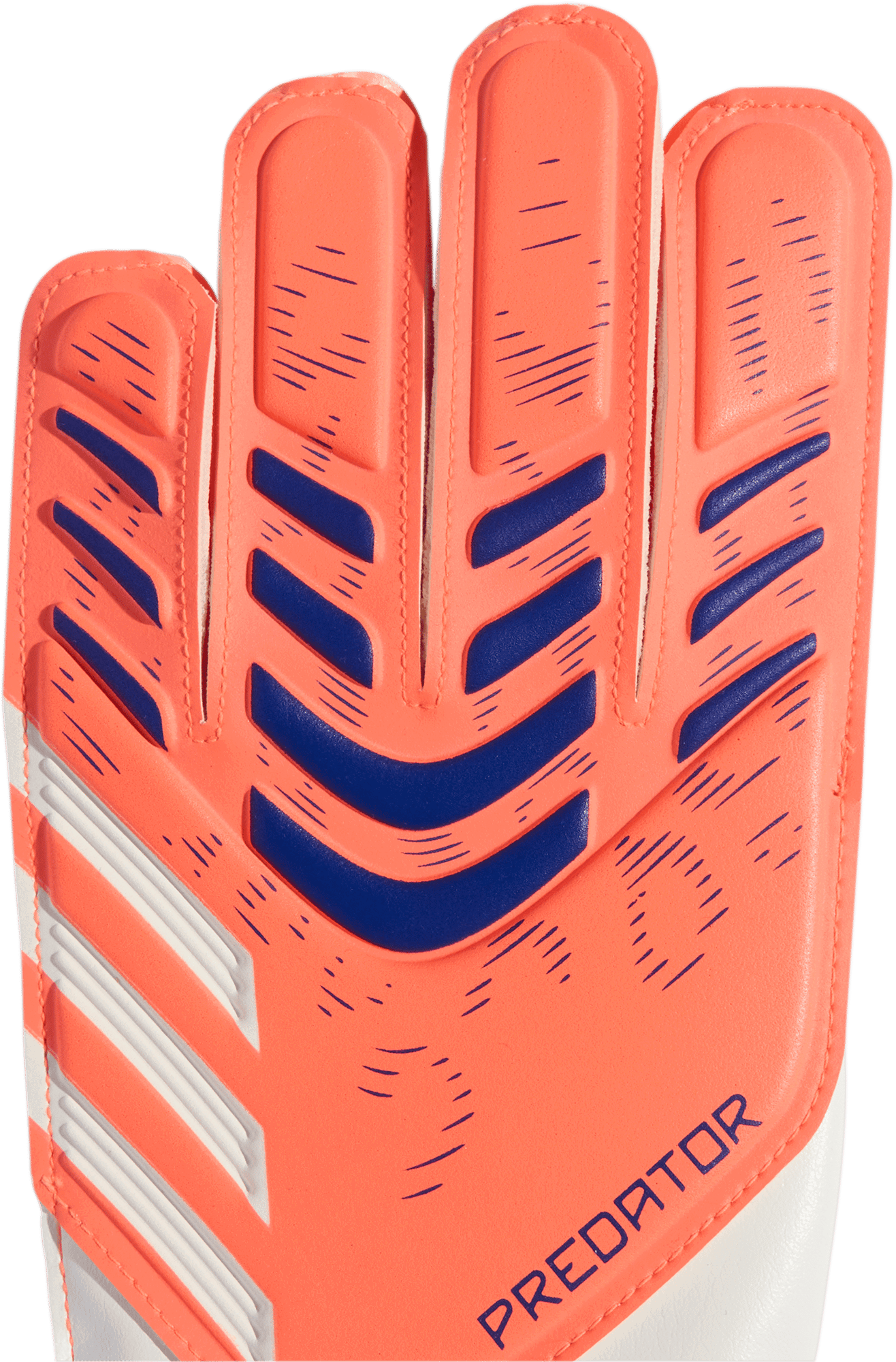 Ръкавици adidas Originals Predator Training Goalkeeper Gloves Kids Многоцветен | jn5361, 1