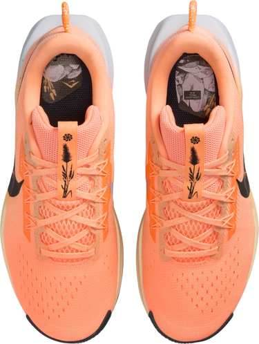 Кецове и обувки Nike Pegasus Trail 5 Оранжево
 | dv3865-800, 2