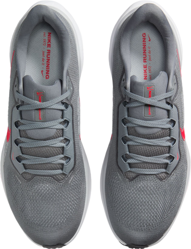 Кецове и обувки Nike Pegasus 41 Сиво | fd2722-013, 2