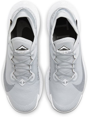 Кецове и обувки Nike Pegasus Trail 2 GTX Сиво | dc1933-100, 3