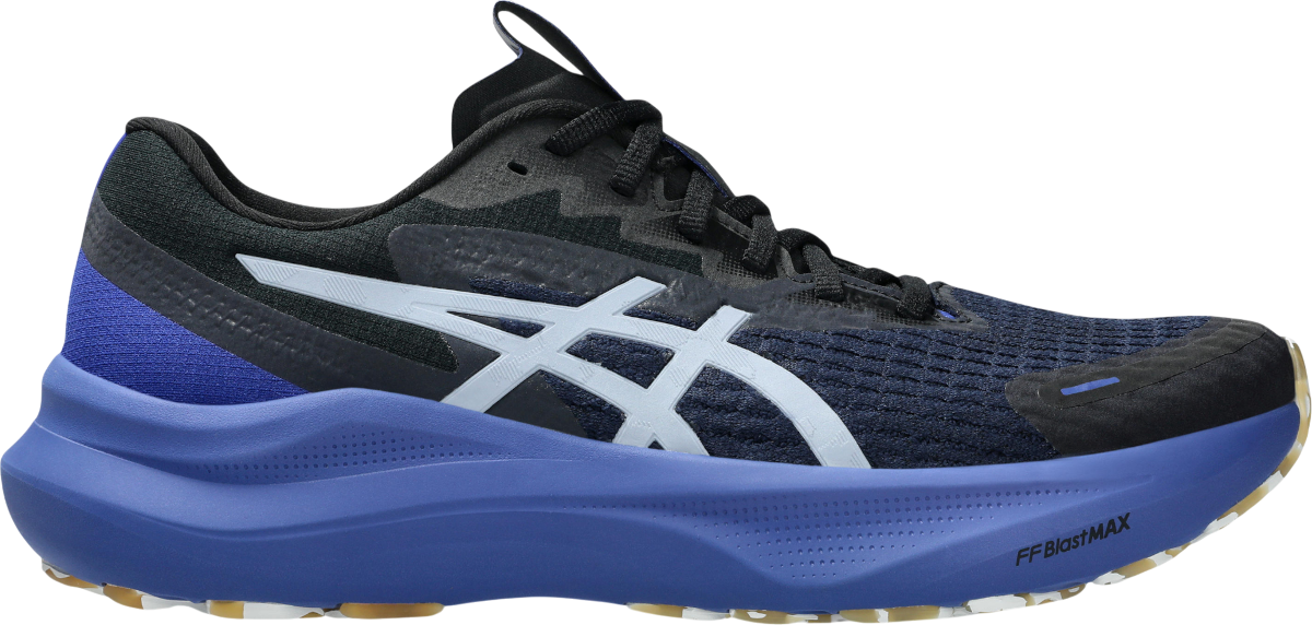 Кецове и обувки Asics GT-2000 14 LITE-SHOW Тъмно синьо | 1011c128-400, 0